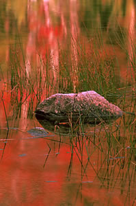 MF03-1 Bubble Pond(V) - Acadia National Park
