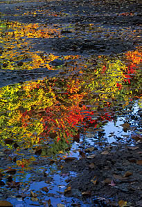NHF03-4 Autumn Reflections, White Mountains