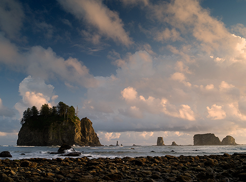 Second_Beach_Olympic_National_Park_WA