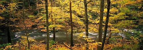 XP6 -Clifton Gorge-Yellow Springs, Ohio